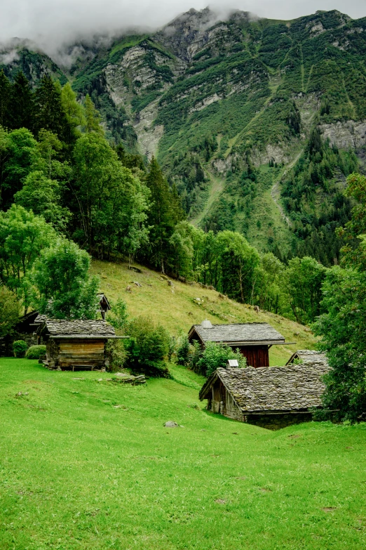 a grassy field with a stone building and trees