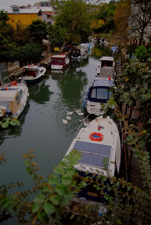 several boats in a body of water near houses