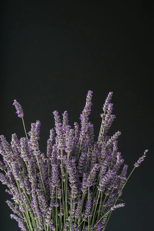 a bunch of pretty purple flowers inside of a vase