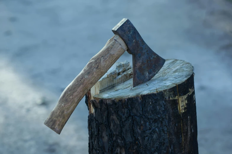 an axe and stump of wood are held by a hand