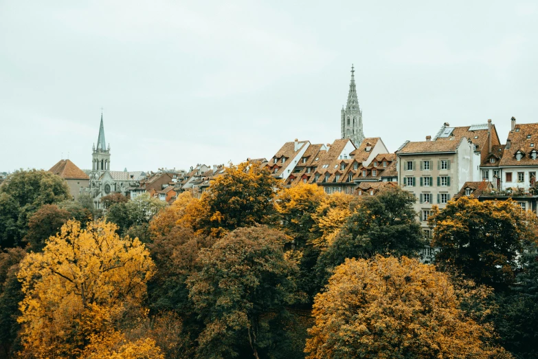 a tall building in a park filled with yellow and red trees