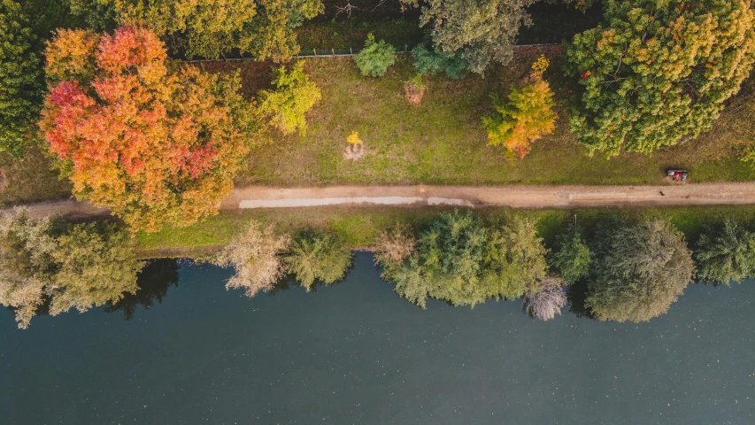 trees near a pond with people on bikes