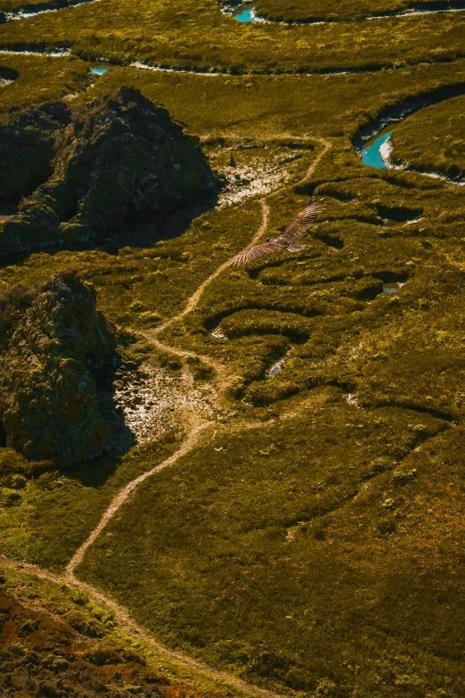 a view of grassy fields with a river running between them