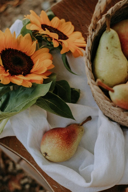 a bunch of fruits are sitting on a table