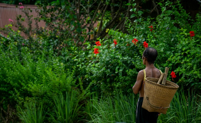 a child carries a large basket down a grassy path