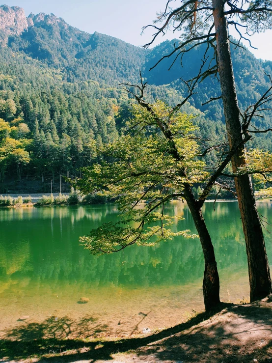 a body of water surrounded by mountains and trees