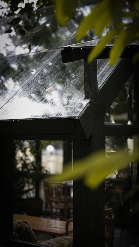 a roof with a glass window in the center and leaves out side