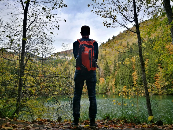 a man standing in front of a tree filled forest