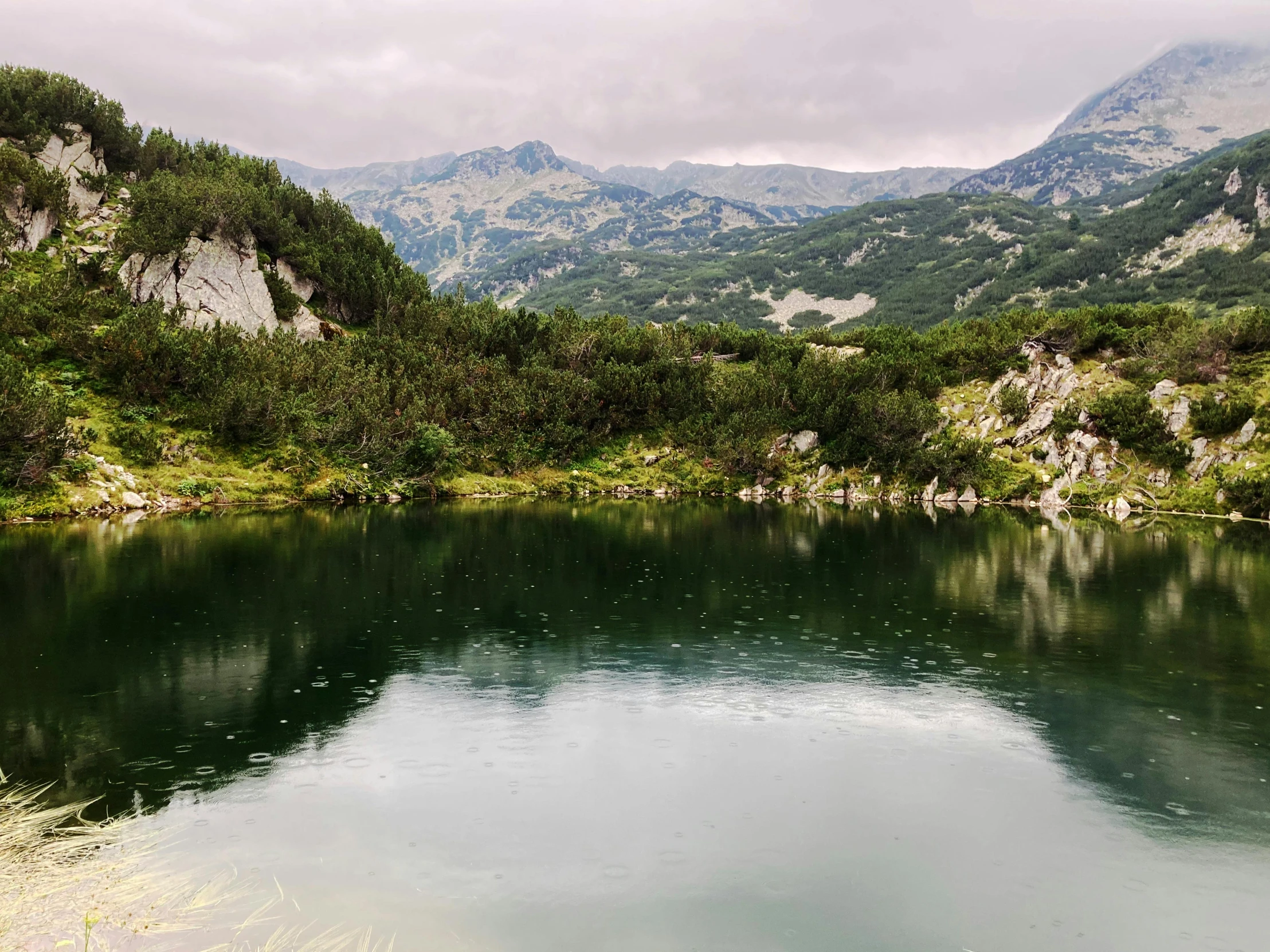 the lake has many trees surrounding it