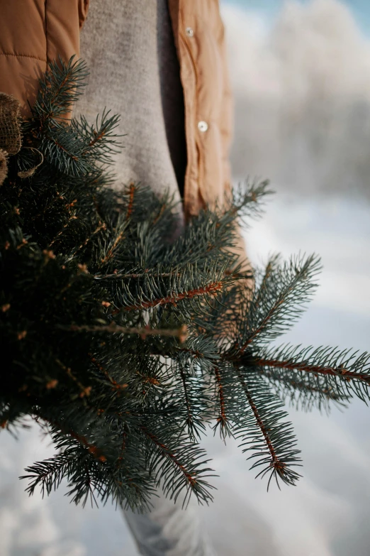 a man holding a large christmas tree in his hand