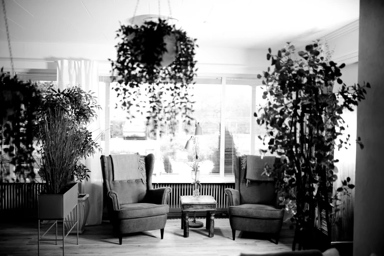 a room that has plants hanging on the wall