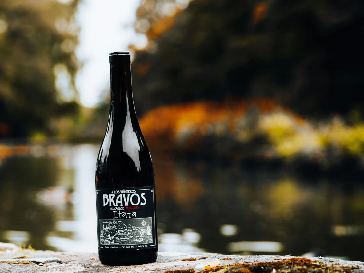 a bottle of beer sitting on a cement surface in front of a pond