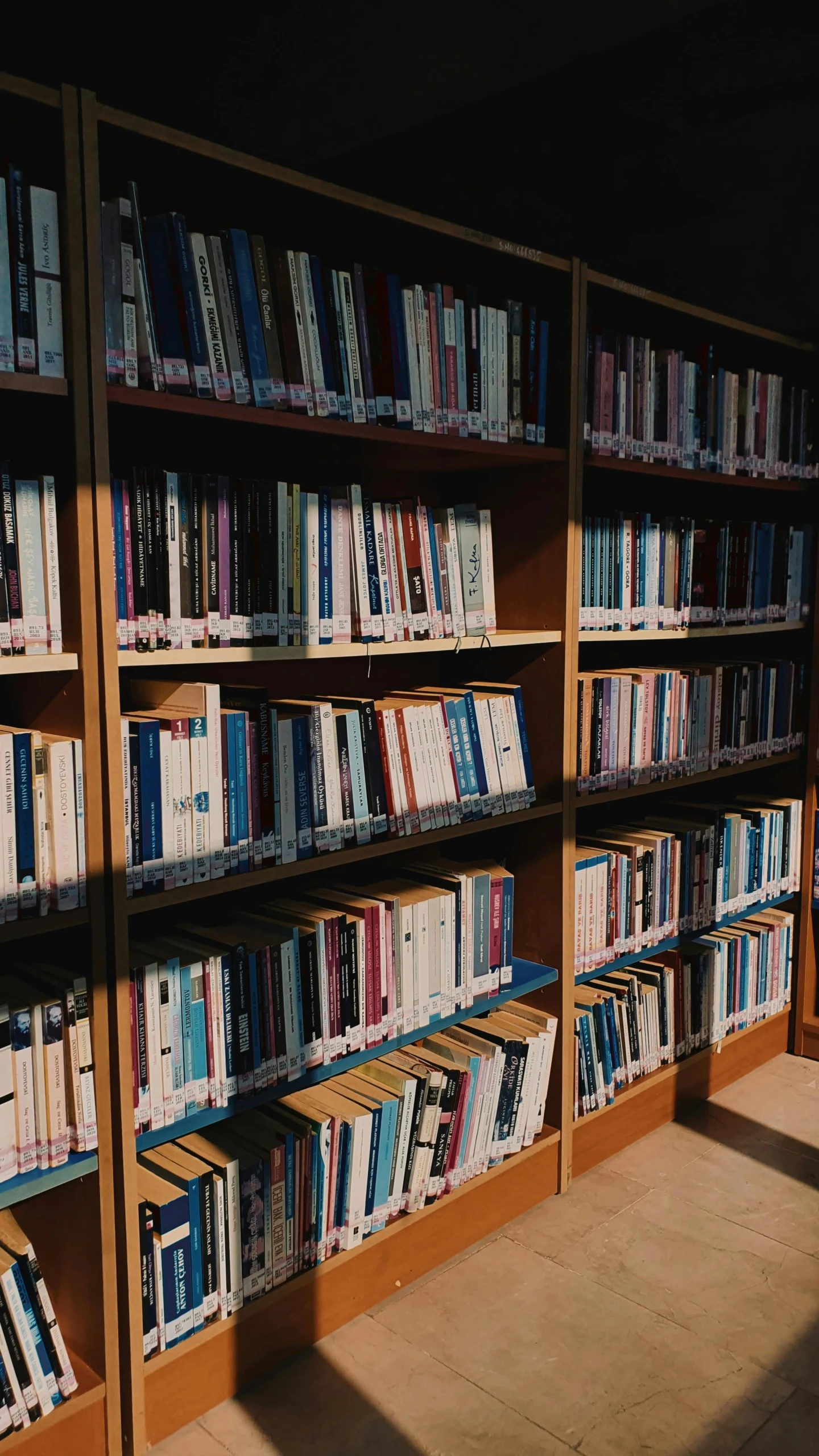 rows of books on shelves in a liry