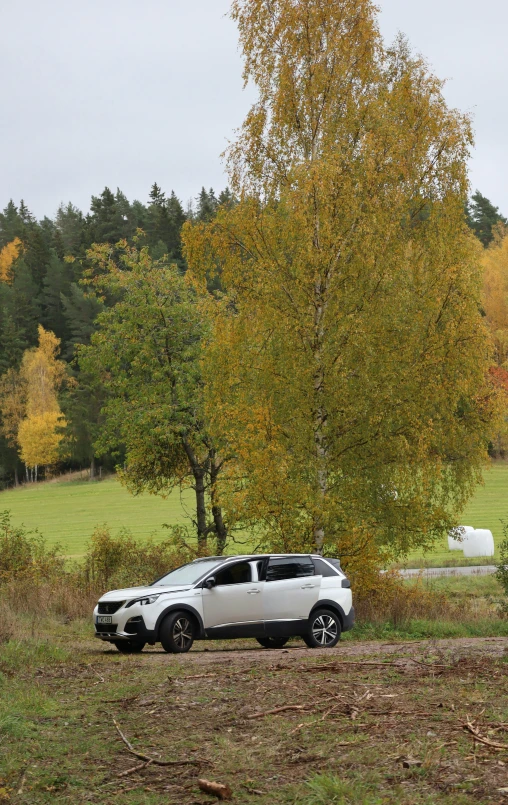 a white car parked next to a tree with its trunk out