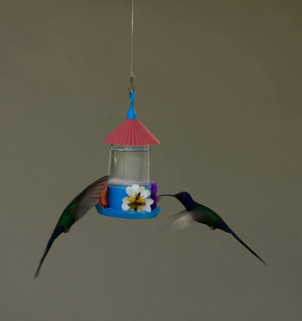 two birds are flying next to a bird feeder