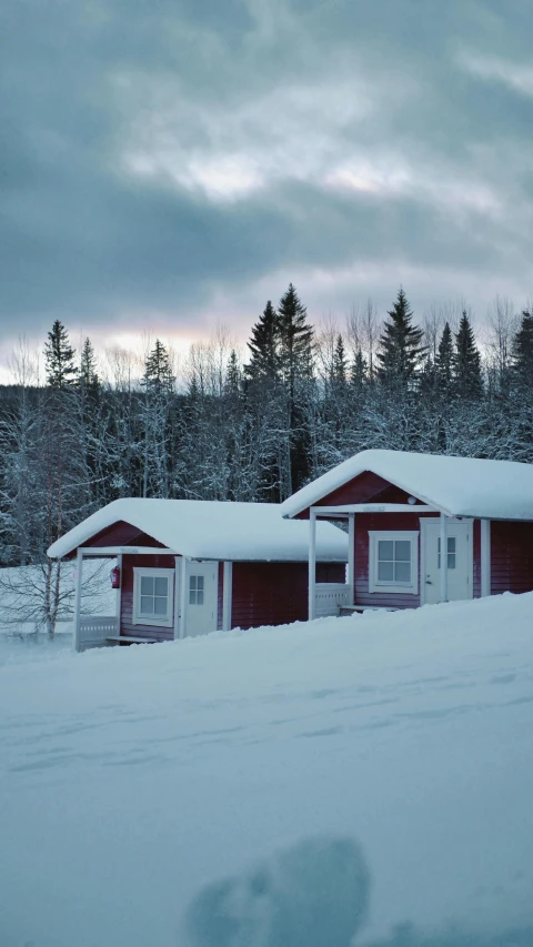 the snow covers a row of houses with some trees