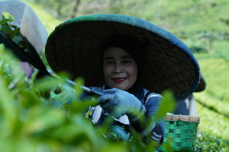 a girl with a big hat lies in the grass