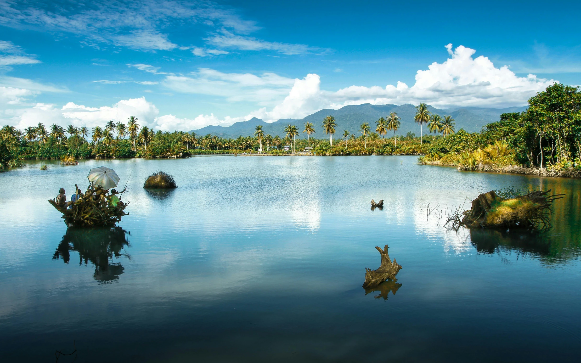 a large body of water that has trees on the shore and mountains in the background