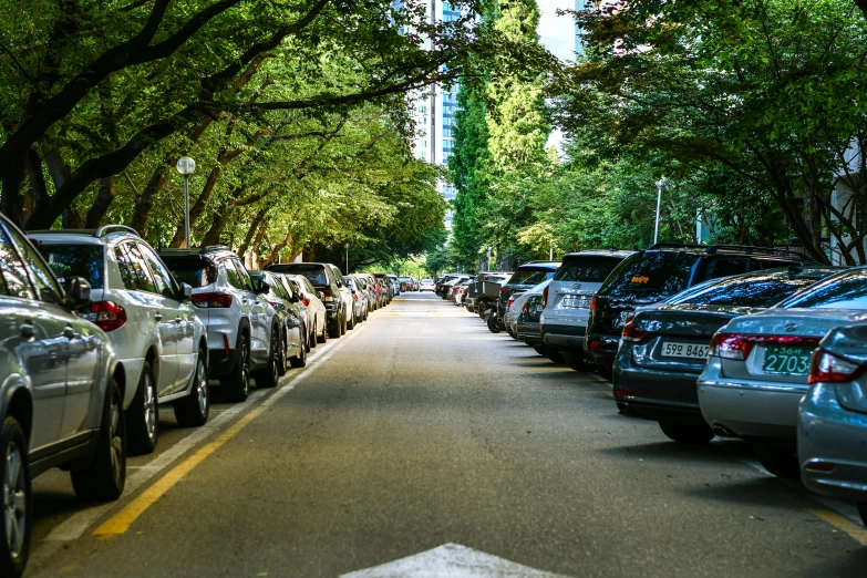 cars parked on the street lined with trees