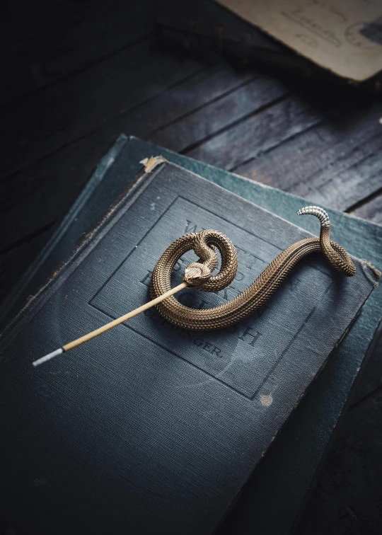 a snake laying on top of an open book