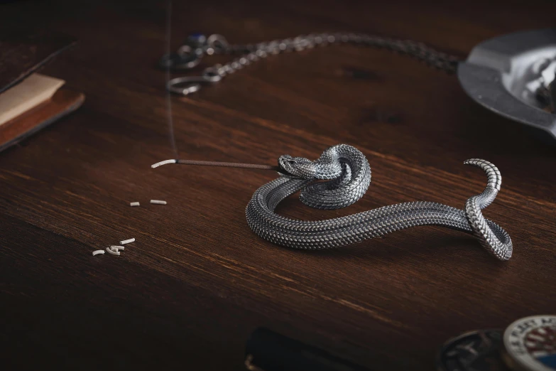 a necklace with a chain in the shape of a snake