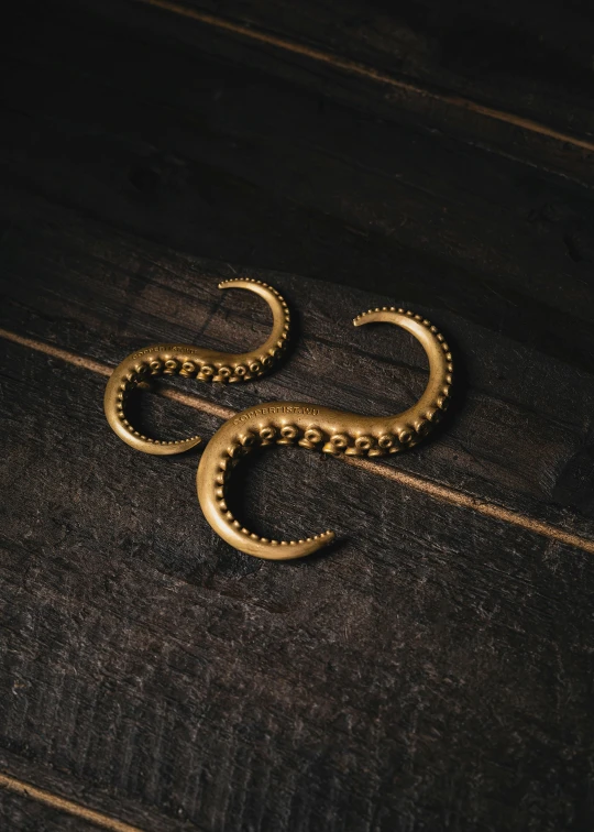 two pieces of gold snake on the wooden table