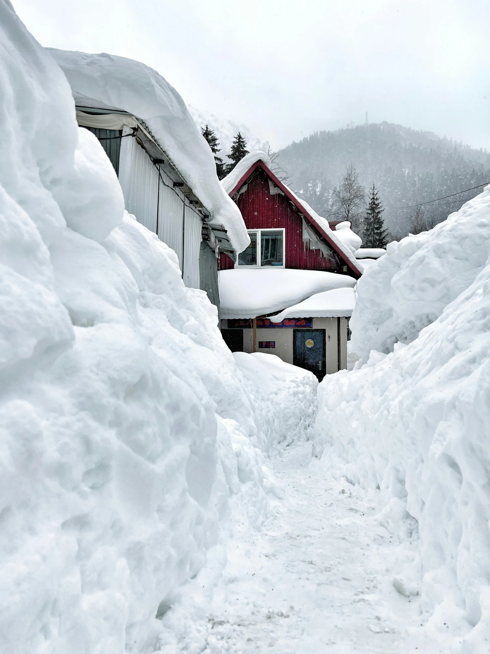 snow drifts up the side of a house next to trees