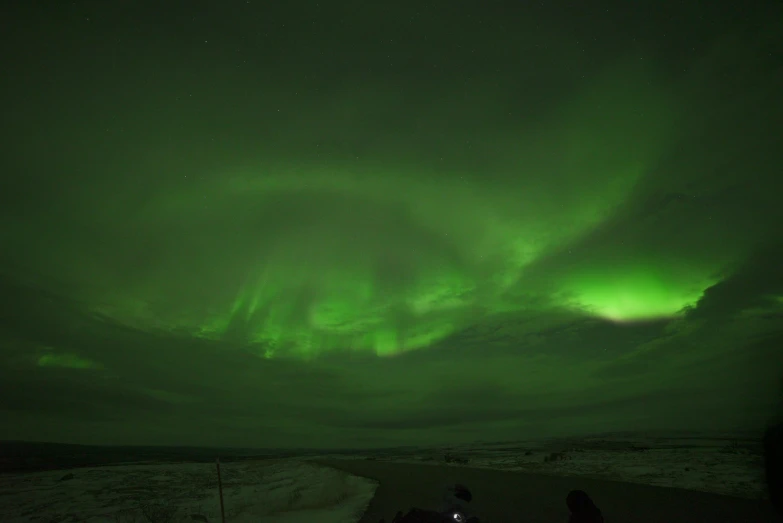 several people are looking at the northern lights