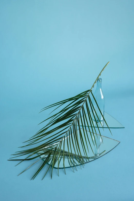 a broken glass vase with a tropical leaf on it