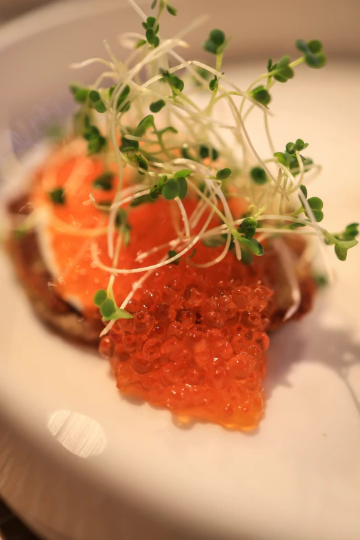 a white plate with food and garnish sitting on top of it