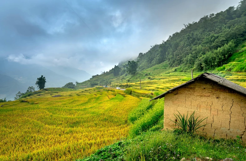 a grassy hill with a barn and green grass