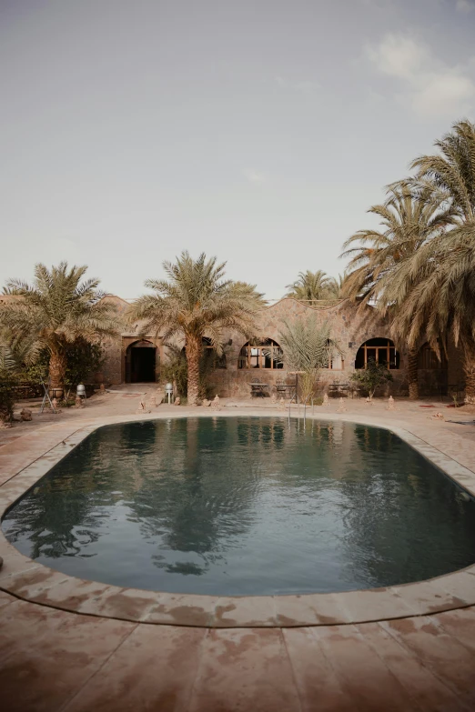 a large pool of water surrounded by palm trees