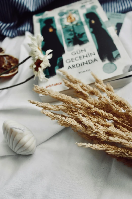 a book and two flowers are on a blanket