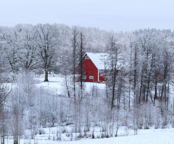 a snow covered rural area with a red barn and trees