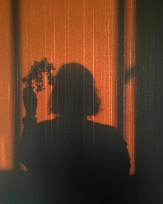a person holding a vase with flowers and a shadow behind them