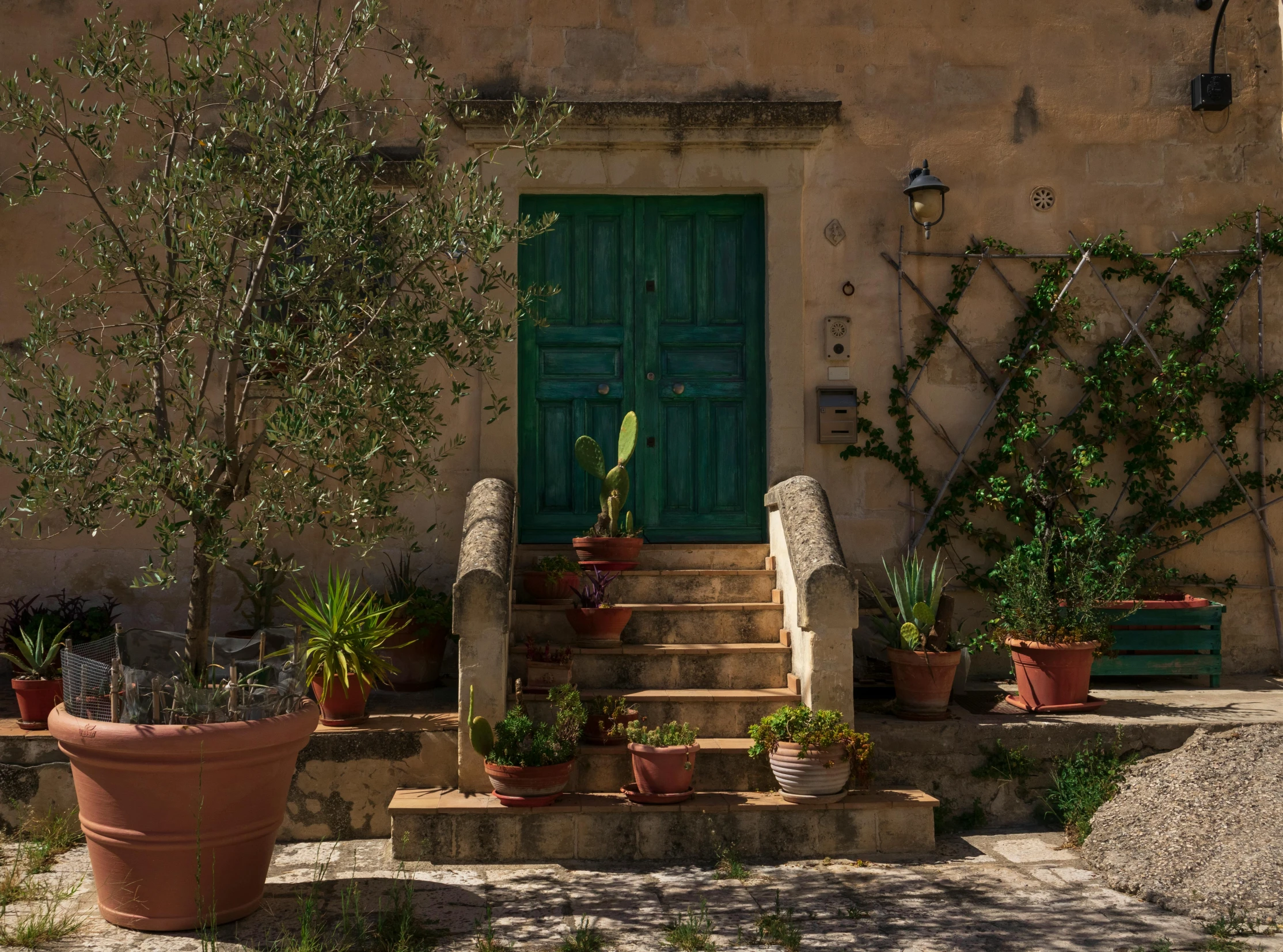 a doorway with a set of stairs and pots with plants