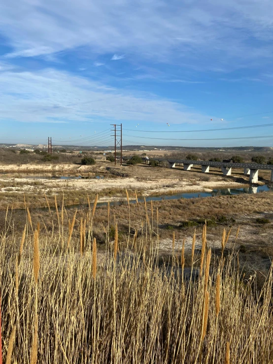 a field full of dry grass with a power pole in the background