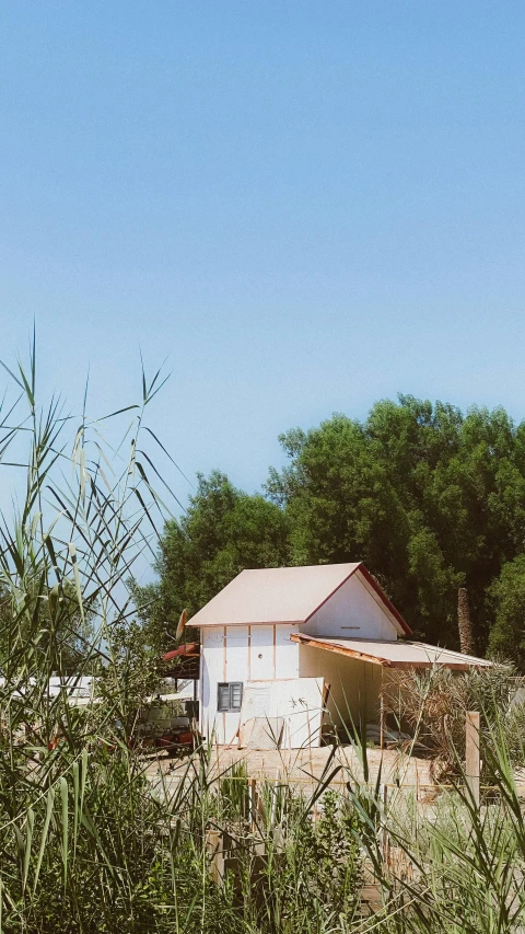 a house behind bushes and trees with blue sky