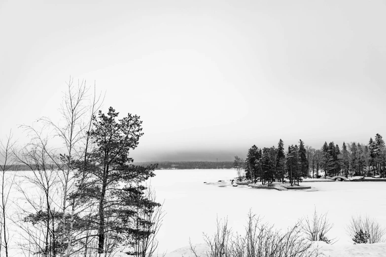 some snow trees and a small body of water