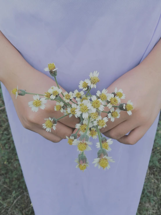 a person is holding a bunch of flowers in their hand