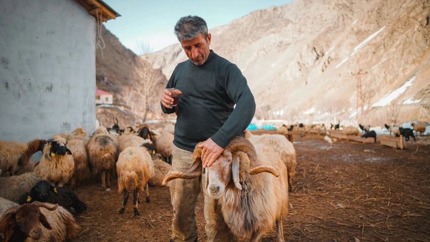 the man is herding some sheep on the side of a road