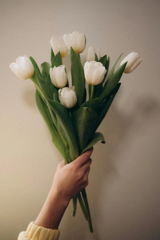 a person's hand holding a bouquet of white tulips