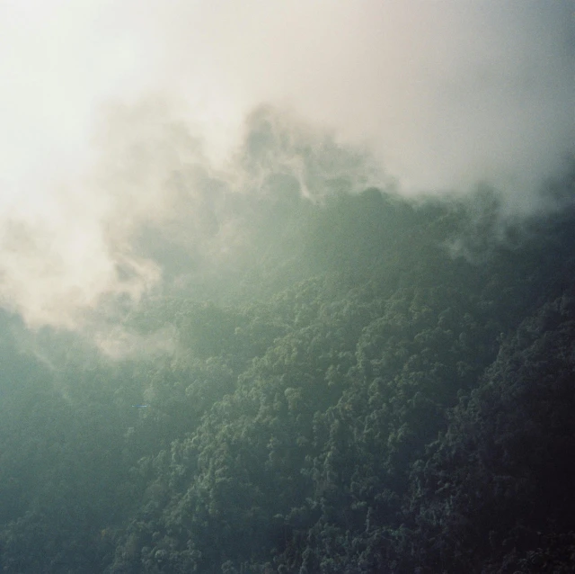 the back side of a large hill that is covered in trees