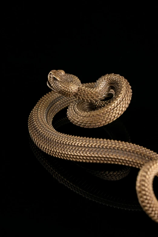 a close - up view of a snake's head in gold tone