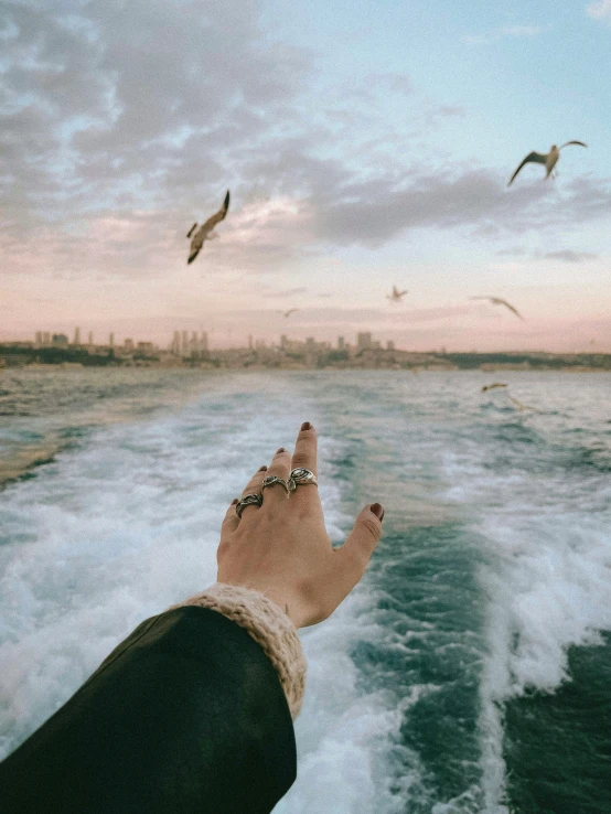 the hand of a person on a boat is touching the water while flying seagulls