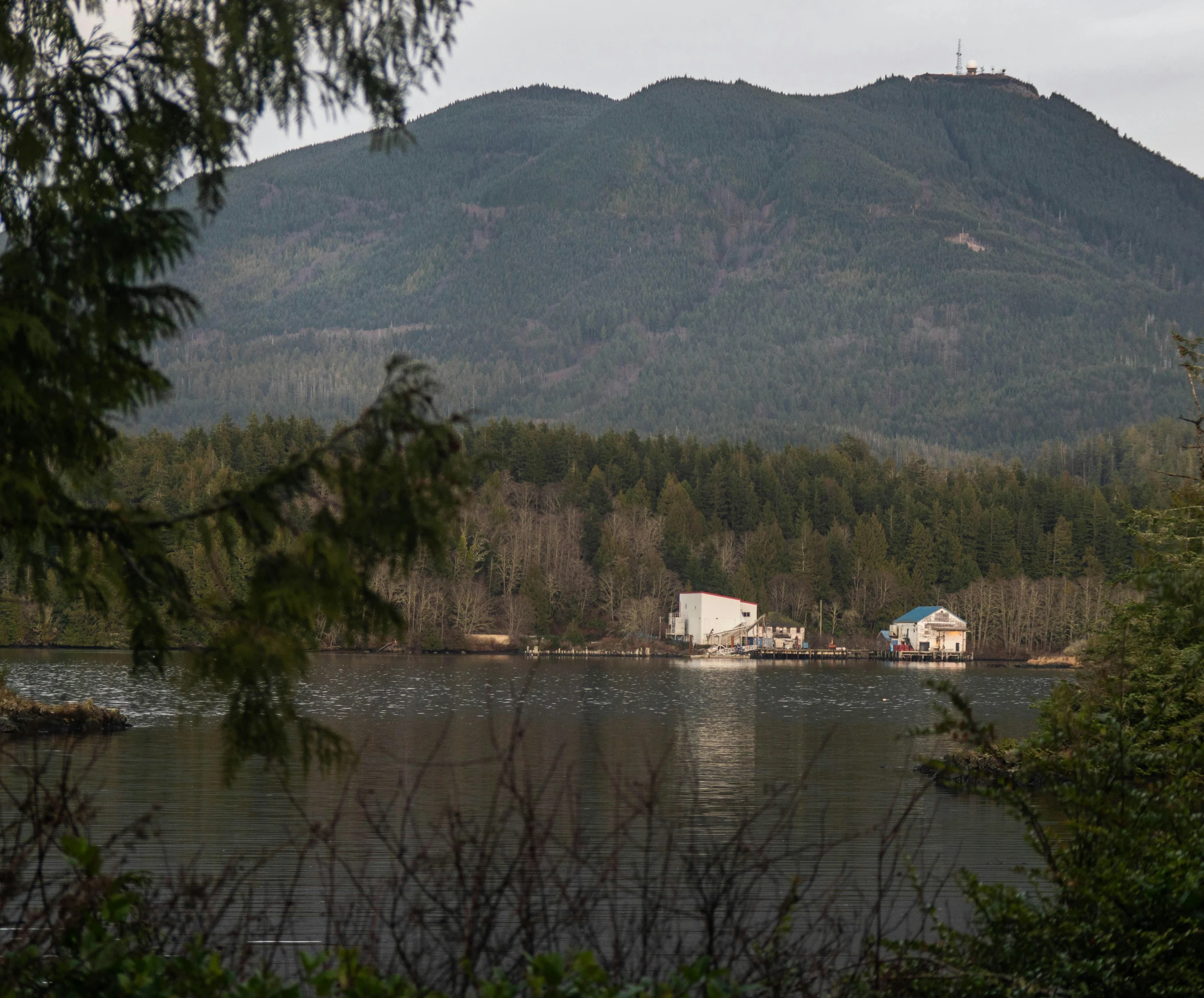 a lake is surrounded by a forested hill with a building and blue roof on it