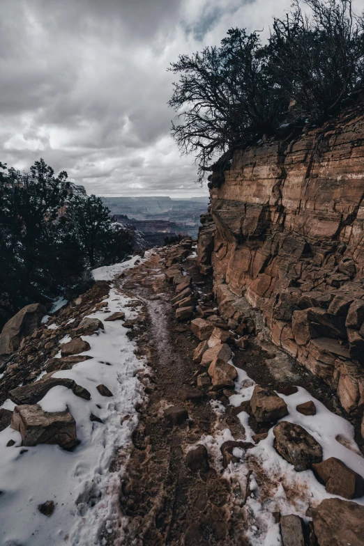 a rocky mountain with some trees near the edge