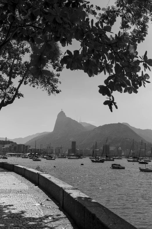 some boats are floating on the water near a city