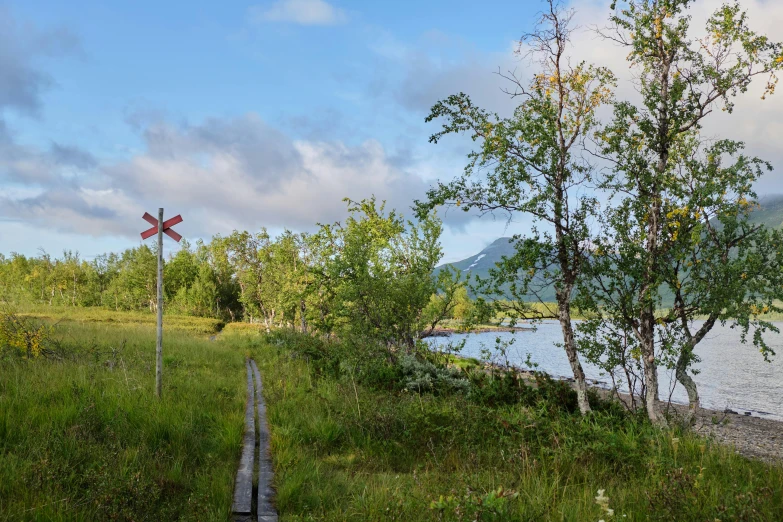 some water bushes trees and a street sign