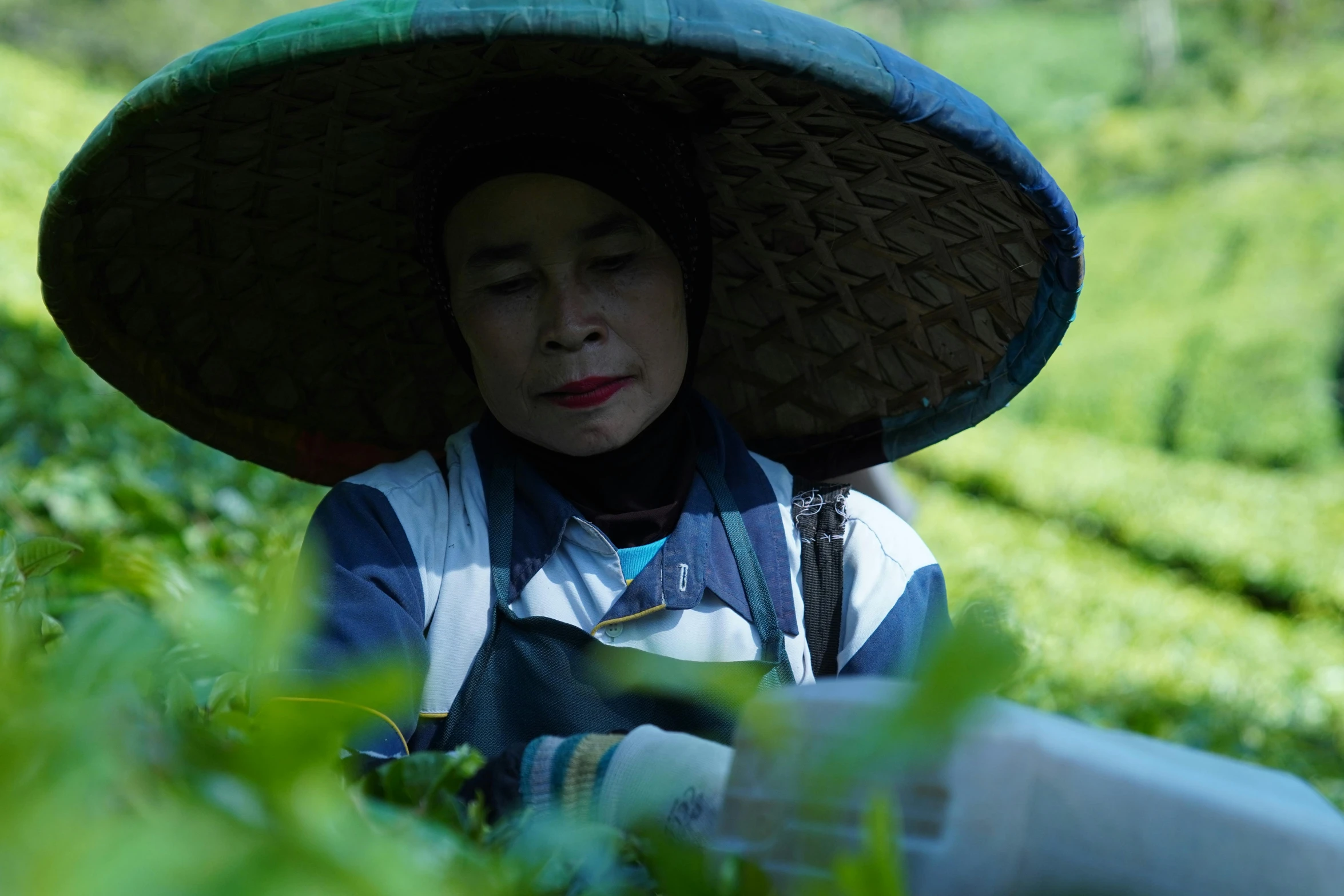 there is a person wearing a large hat and holding soing